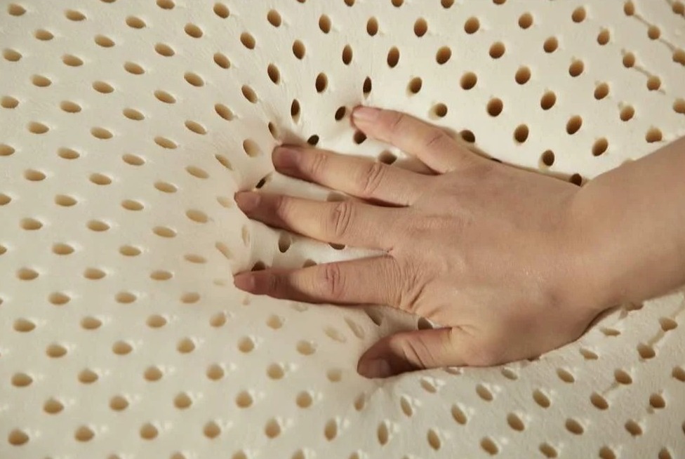 Latex Foam Mattress